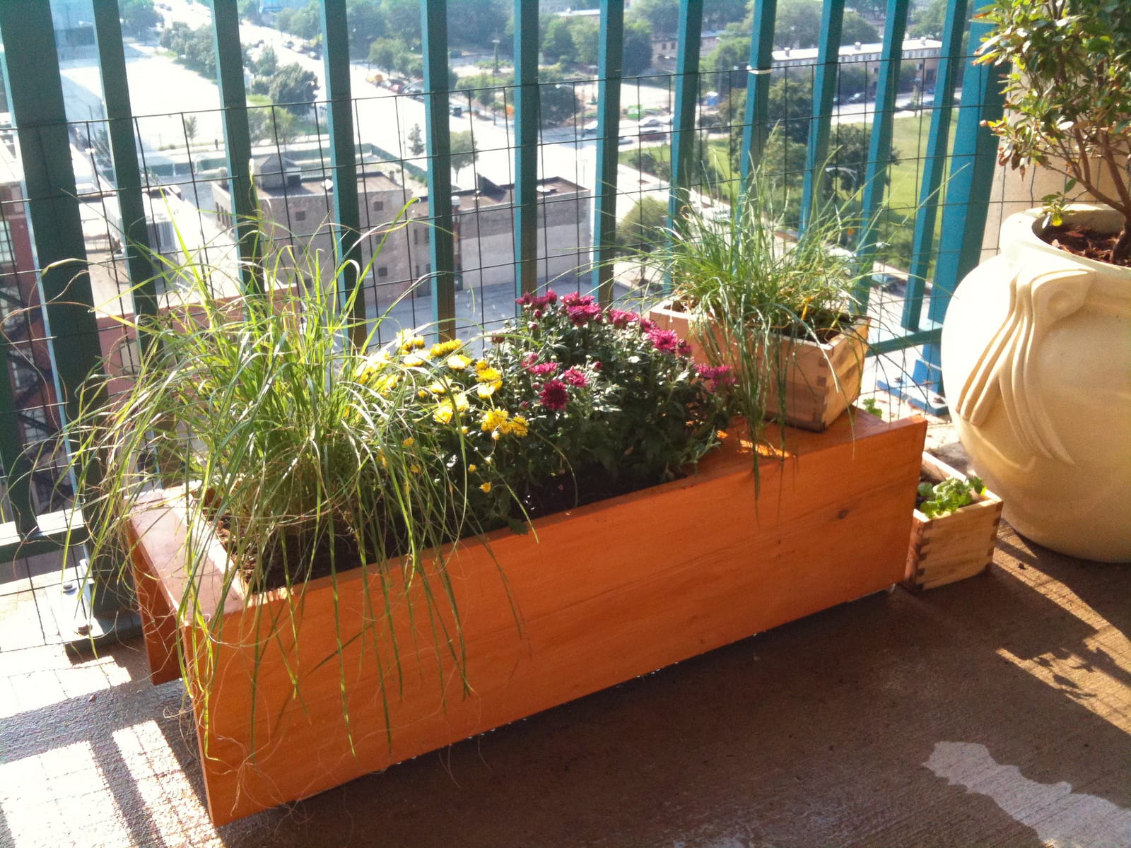 ratioplanter completed sideA