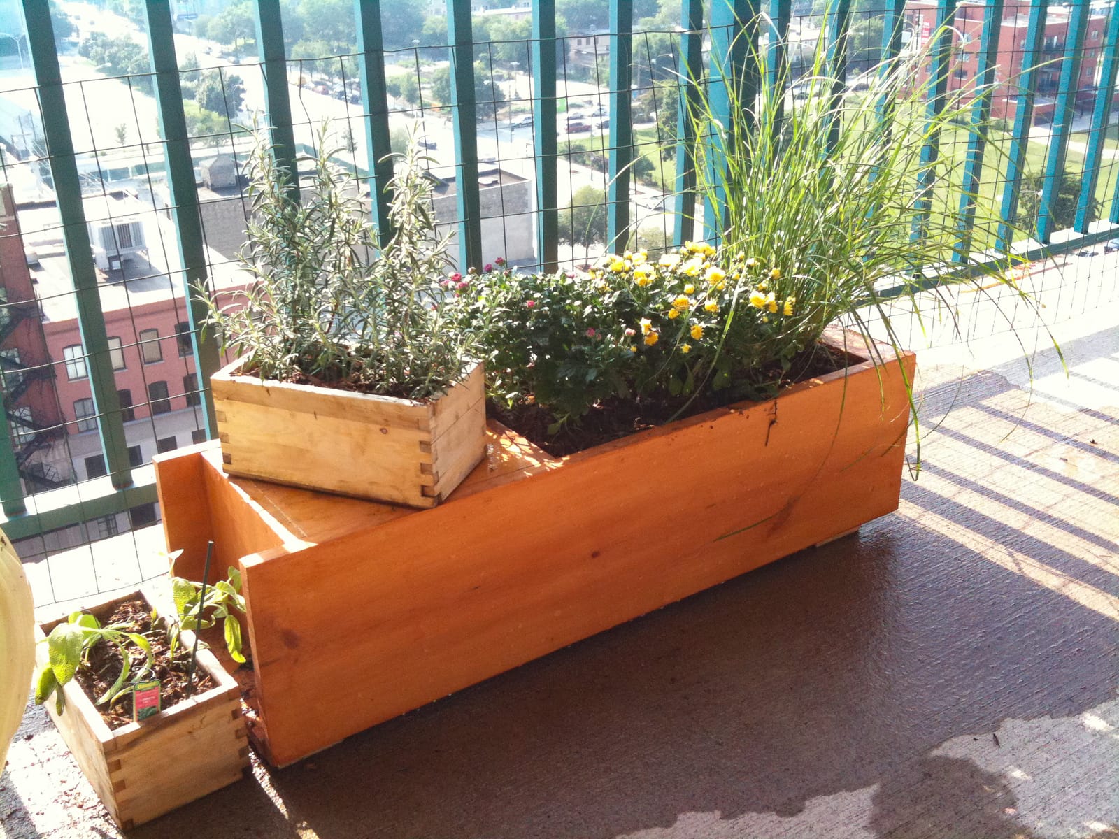 ratioplanter completed sideB