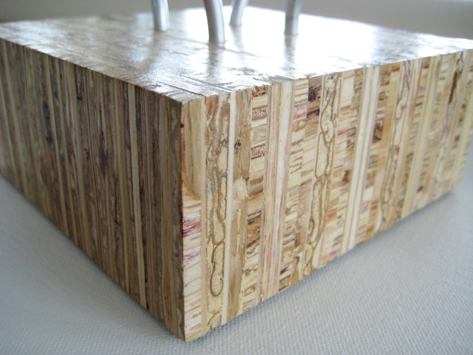 treemote kirei closeup1