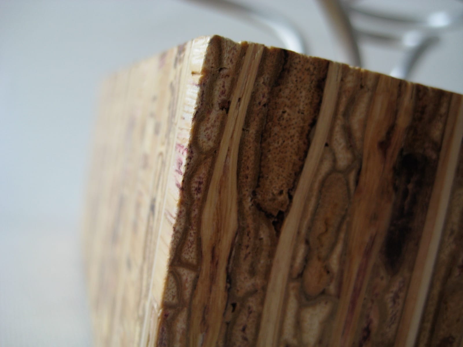 treemote kirei closeup2